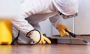 Best Termite Inspection and Treatment  in Bristow, OK